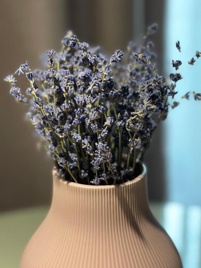 Jeny Boutique Apartment Marosvásárhely Kültér fotó